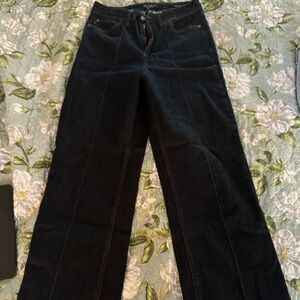 Dark Judy Blue Wide Leg Front Seam